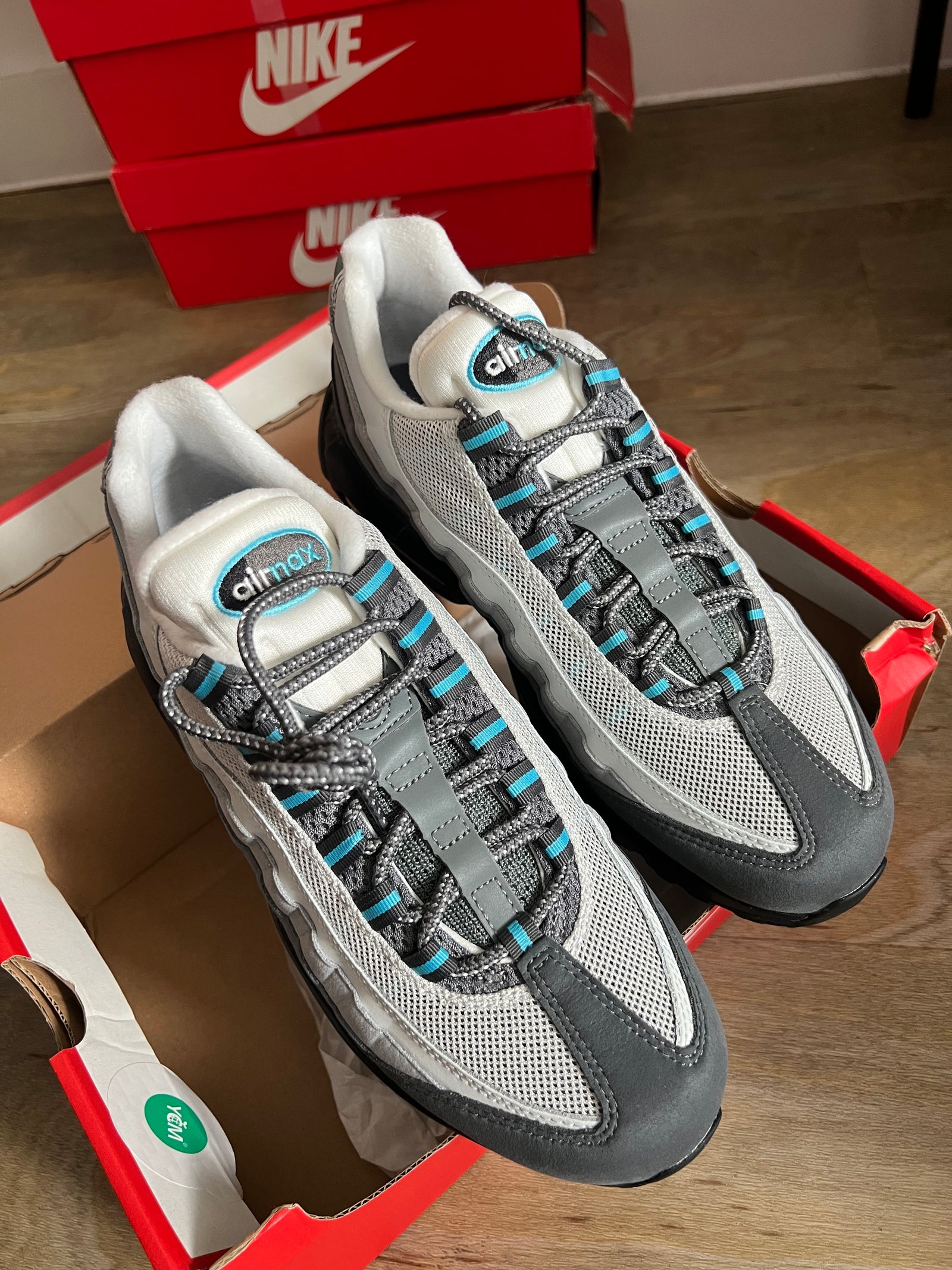 Nike Air Max 95 “Baltic Blue” (2024)